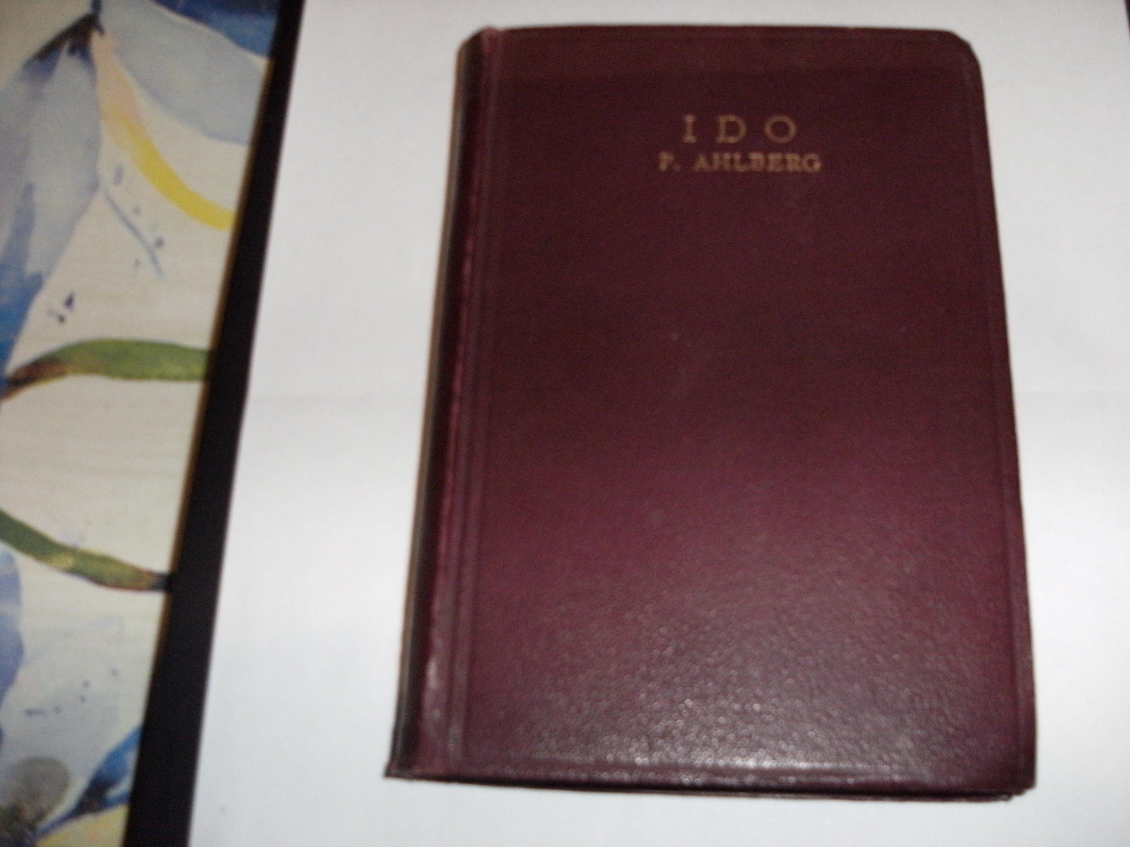 DSCF2709.JPG