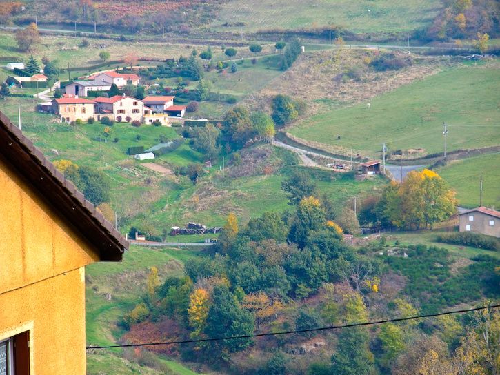 DSCF2784-2.jpg ht=544