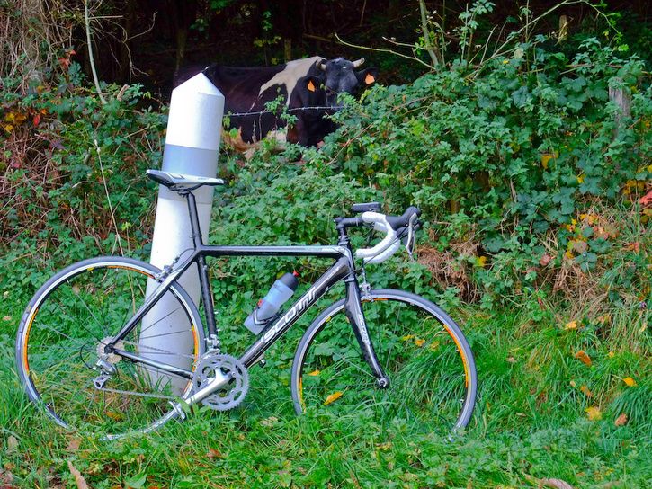 DSCF2791-2.jpg ht=544