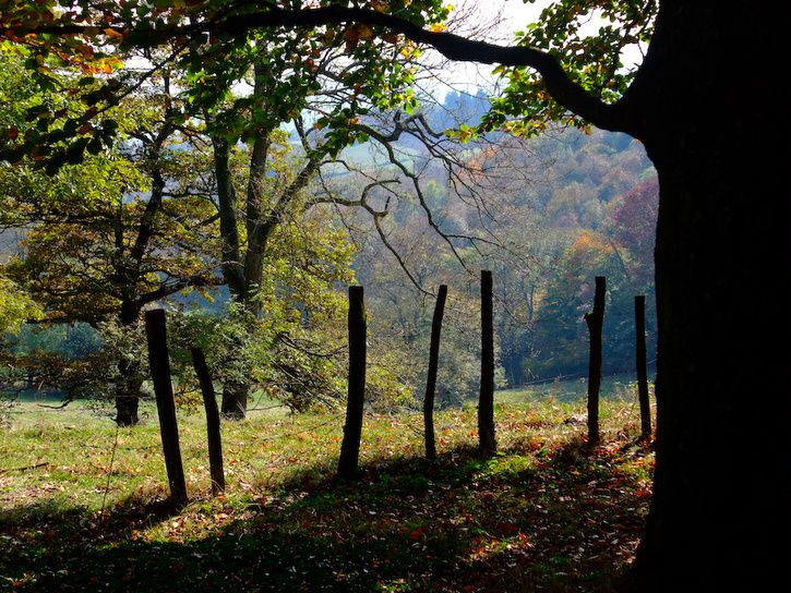 DSCF2798-2.jpg ht=544