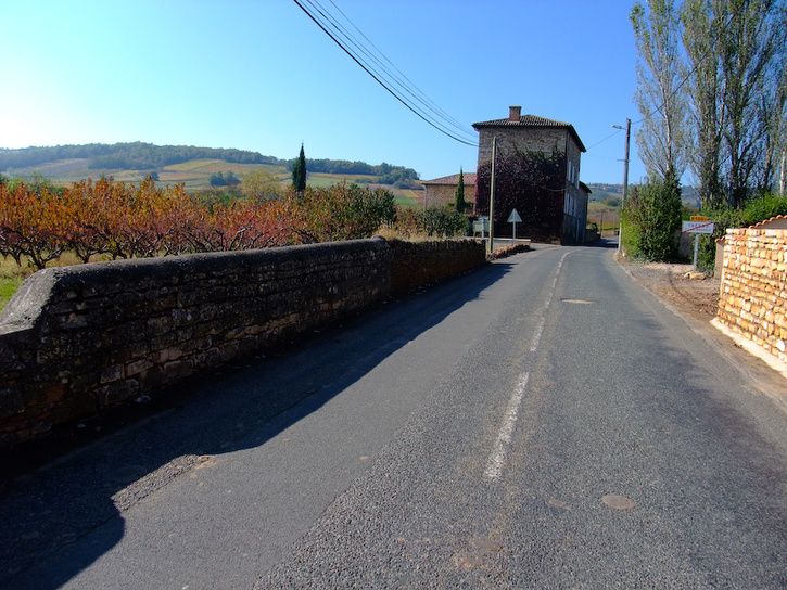 DSCF2880-1.jpg ht=544