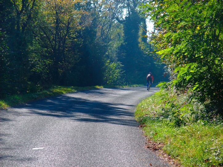 DSCF2884-1.jpg ht=544