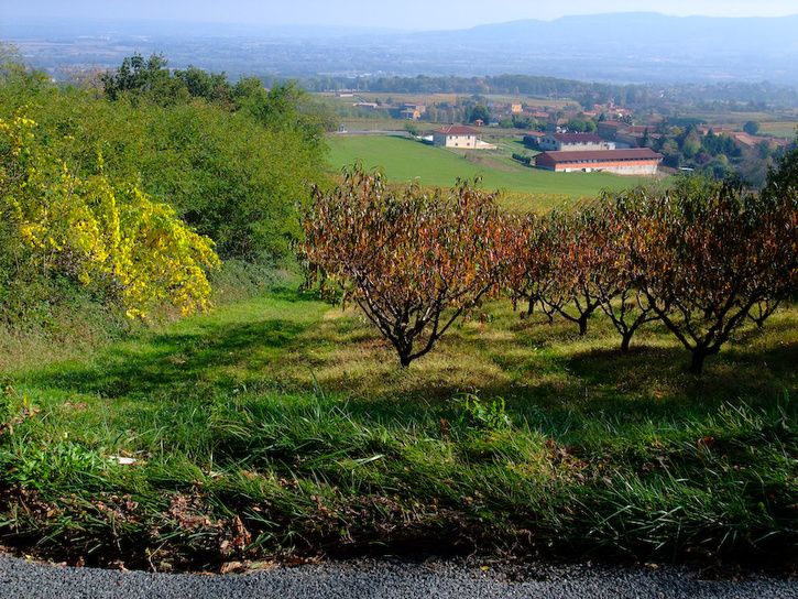 DSCF2886-1.jpg ht=544