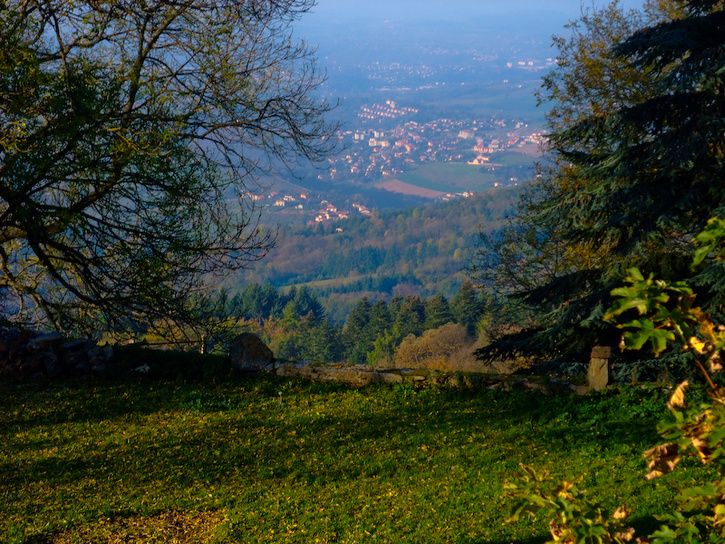 DSCF2929-1.jpg ht=544