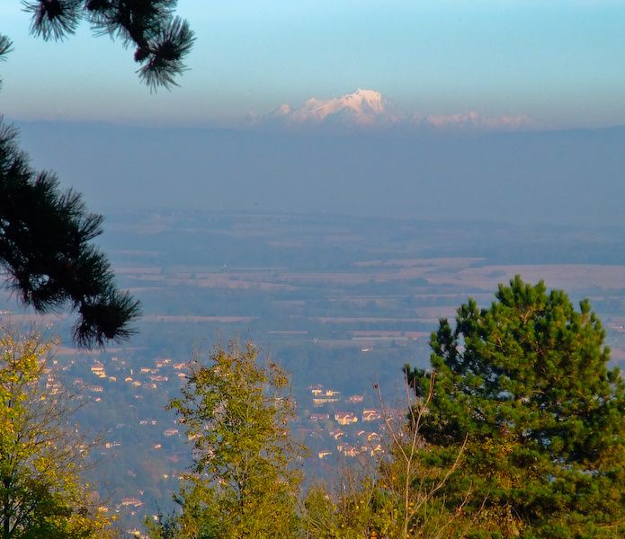 DSCF2949-1.jpg ht=600