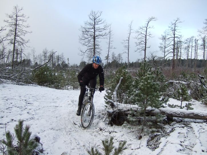 DSCF4694.JPG ht=544
