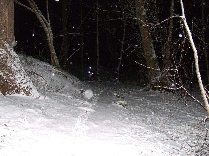 DSCF4713.JPG ht=544