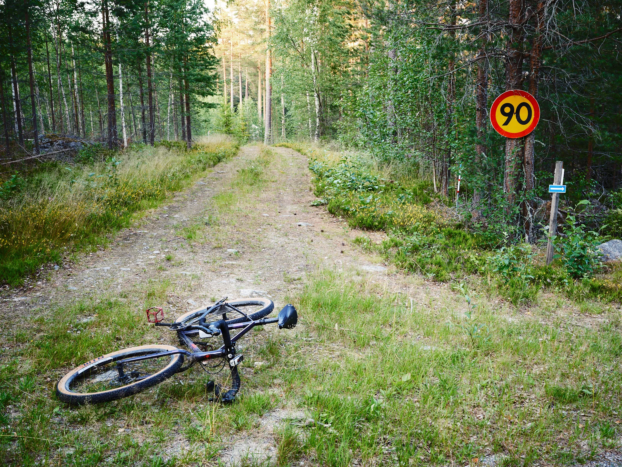 DSCF5058_2048.webp