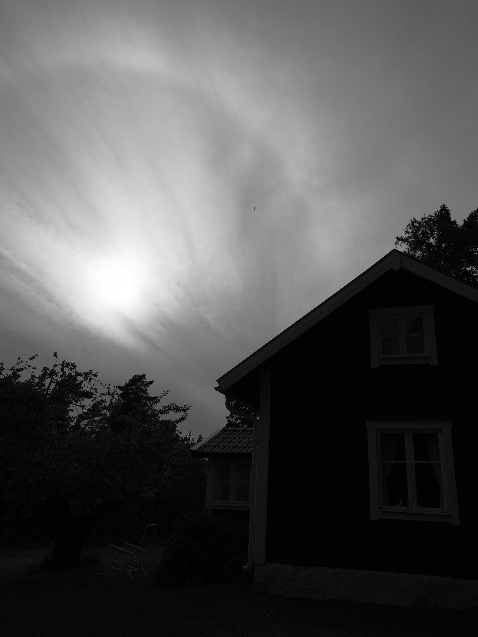 DSCF5686_fb.jpg
