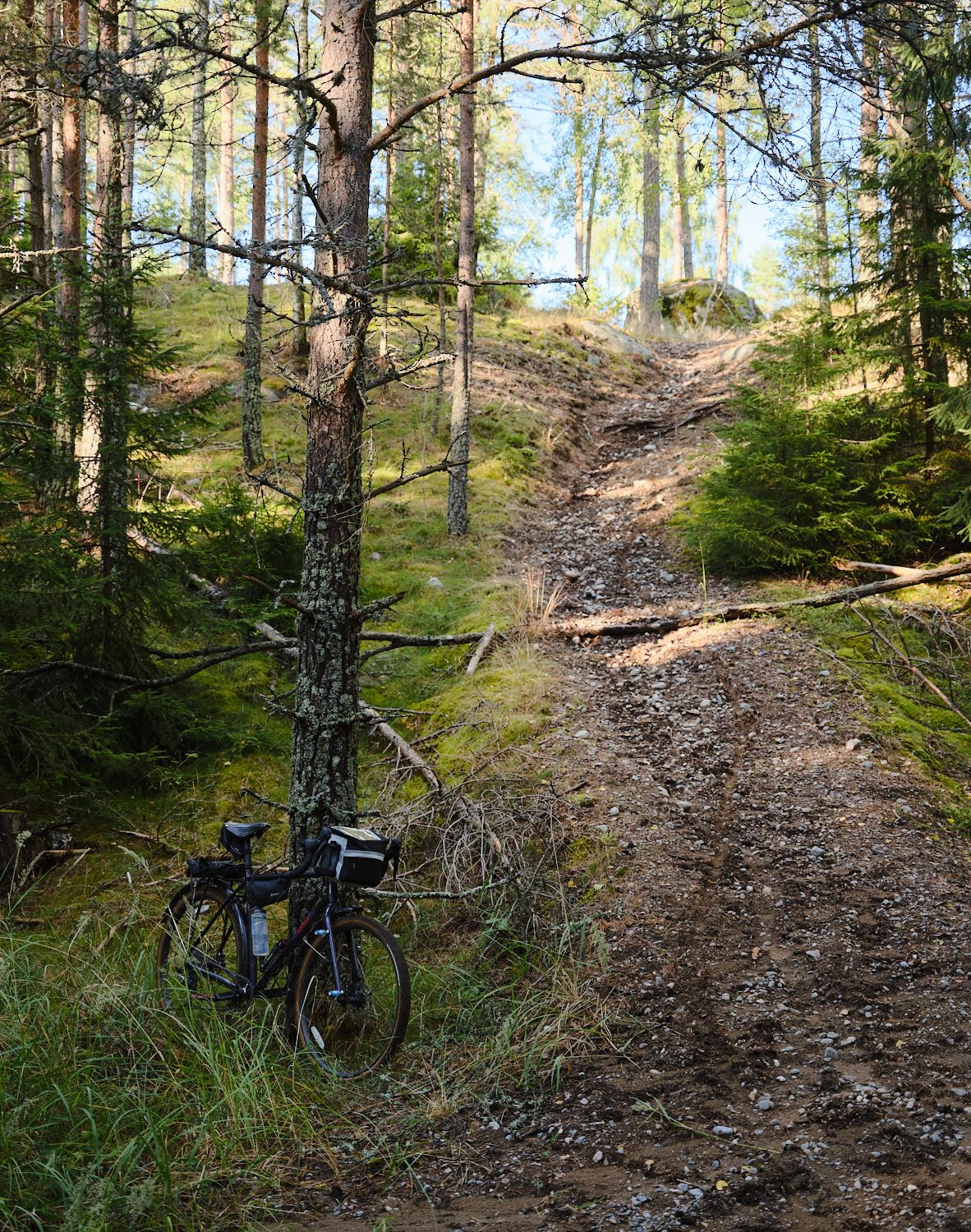 DSCF5773_1500.jpg