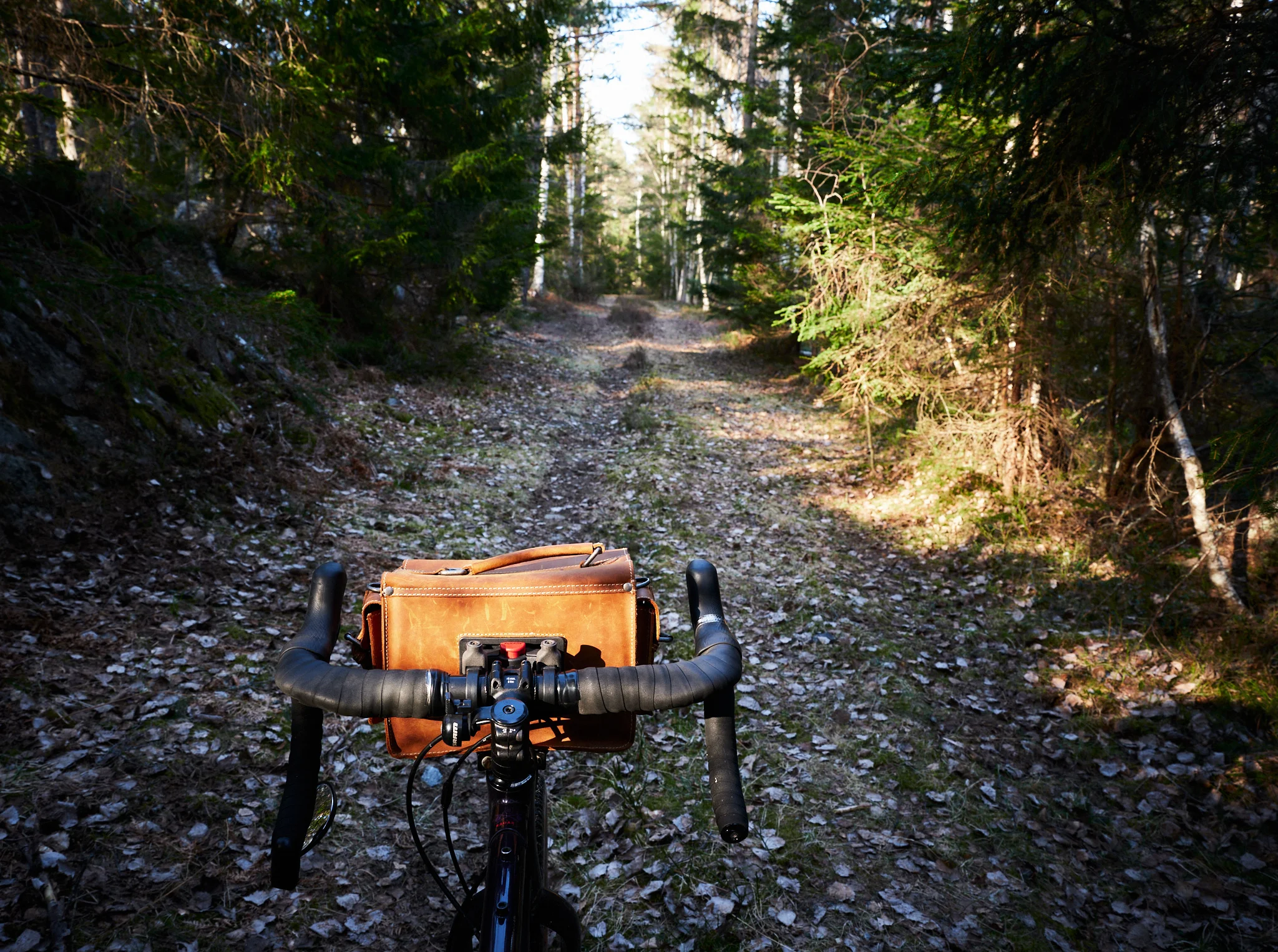 DSCF5961_2048.webp