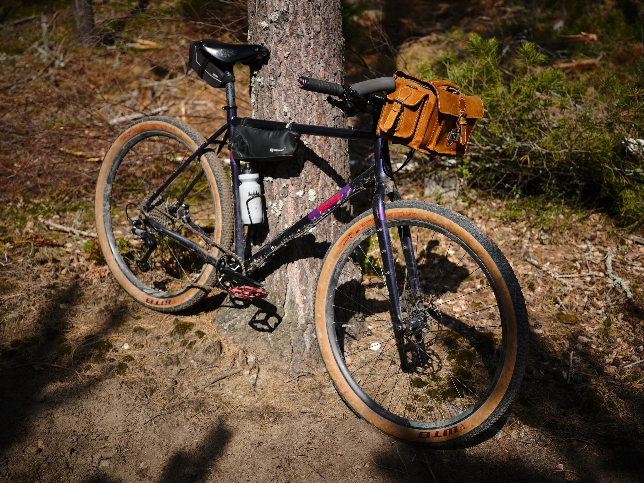 DSCF6059_2048.webp