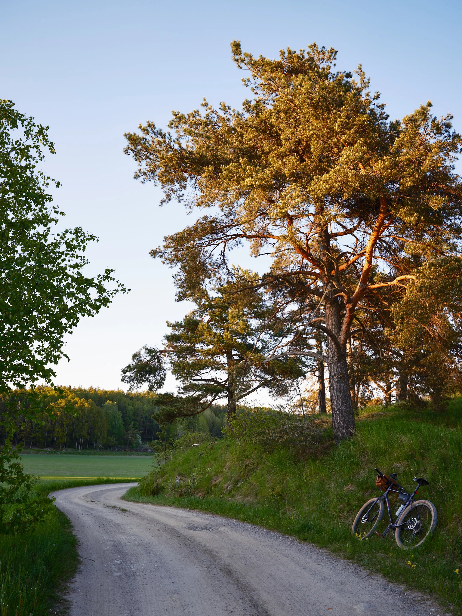 DSCF6079_2048.webp