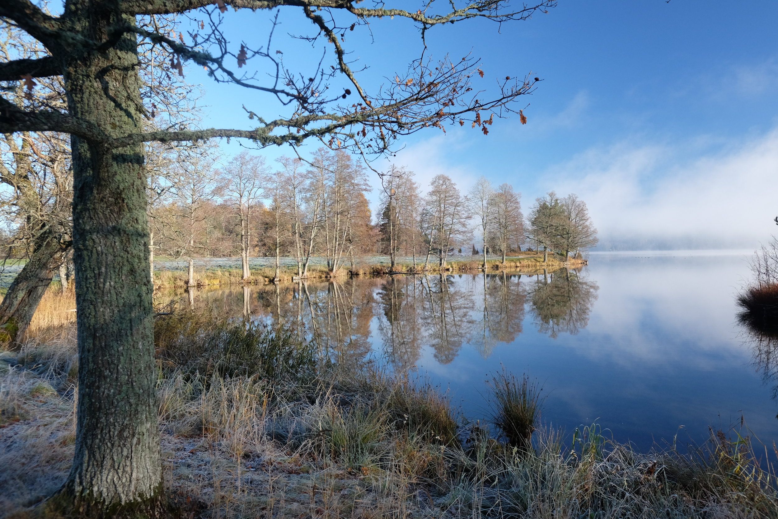 DSCF6417.JPG