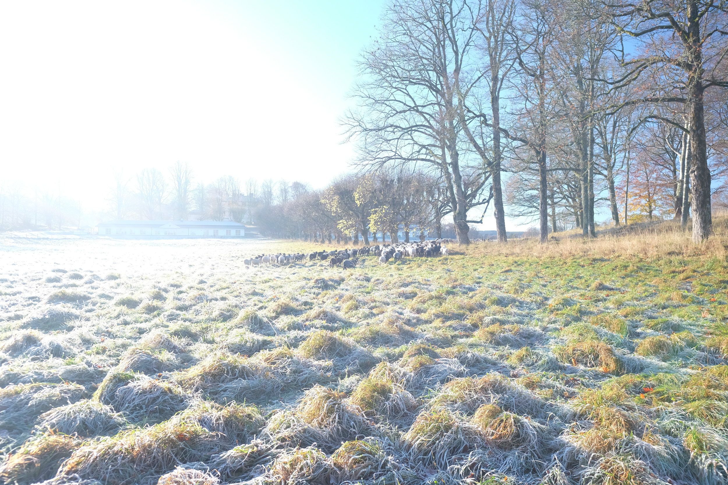 DSCF6418.JPG