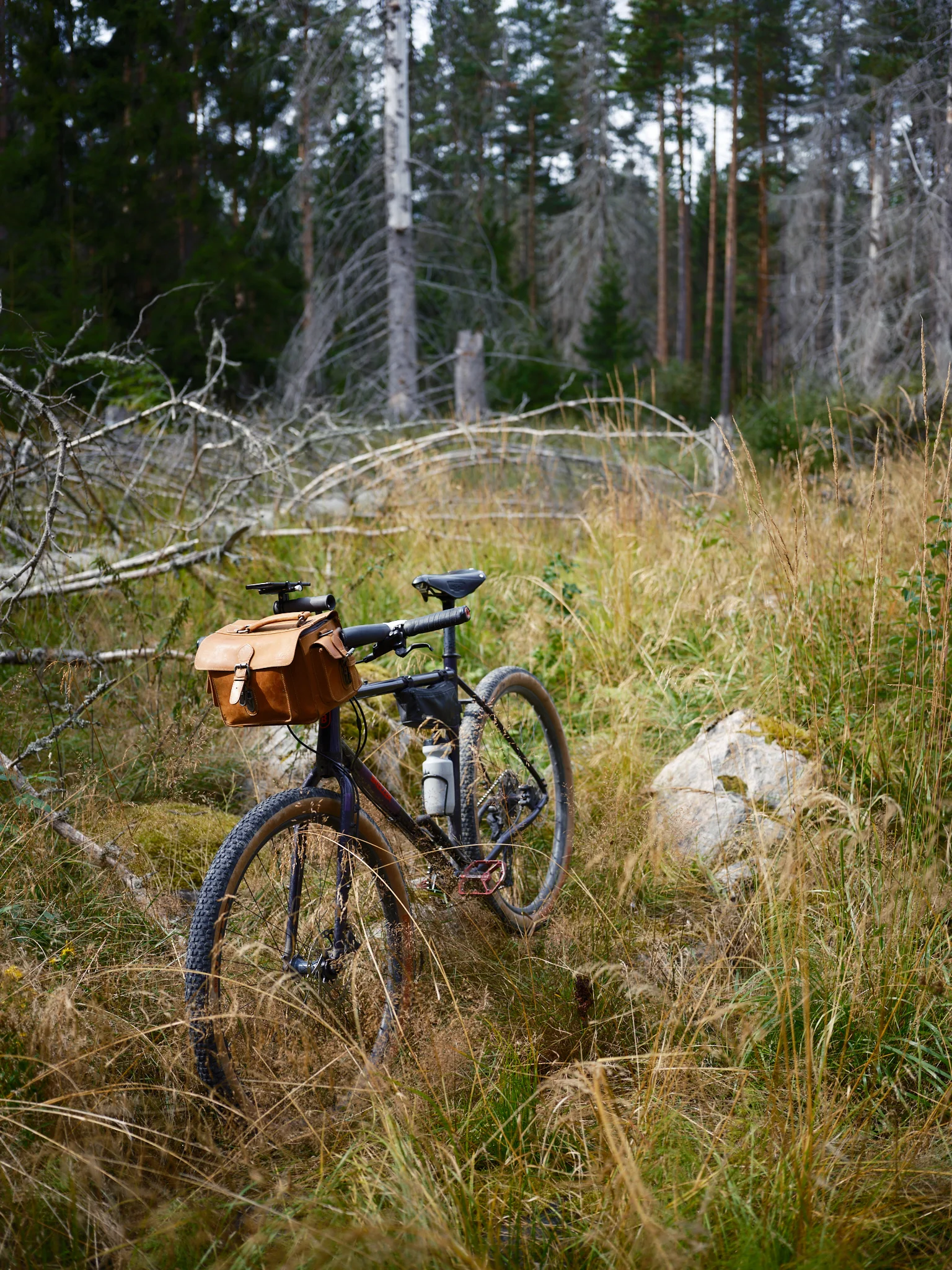 DSCF6632_2048.webp