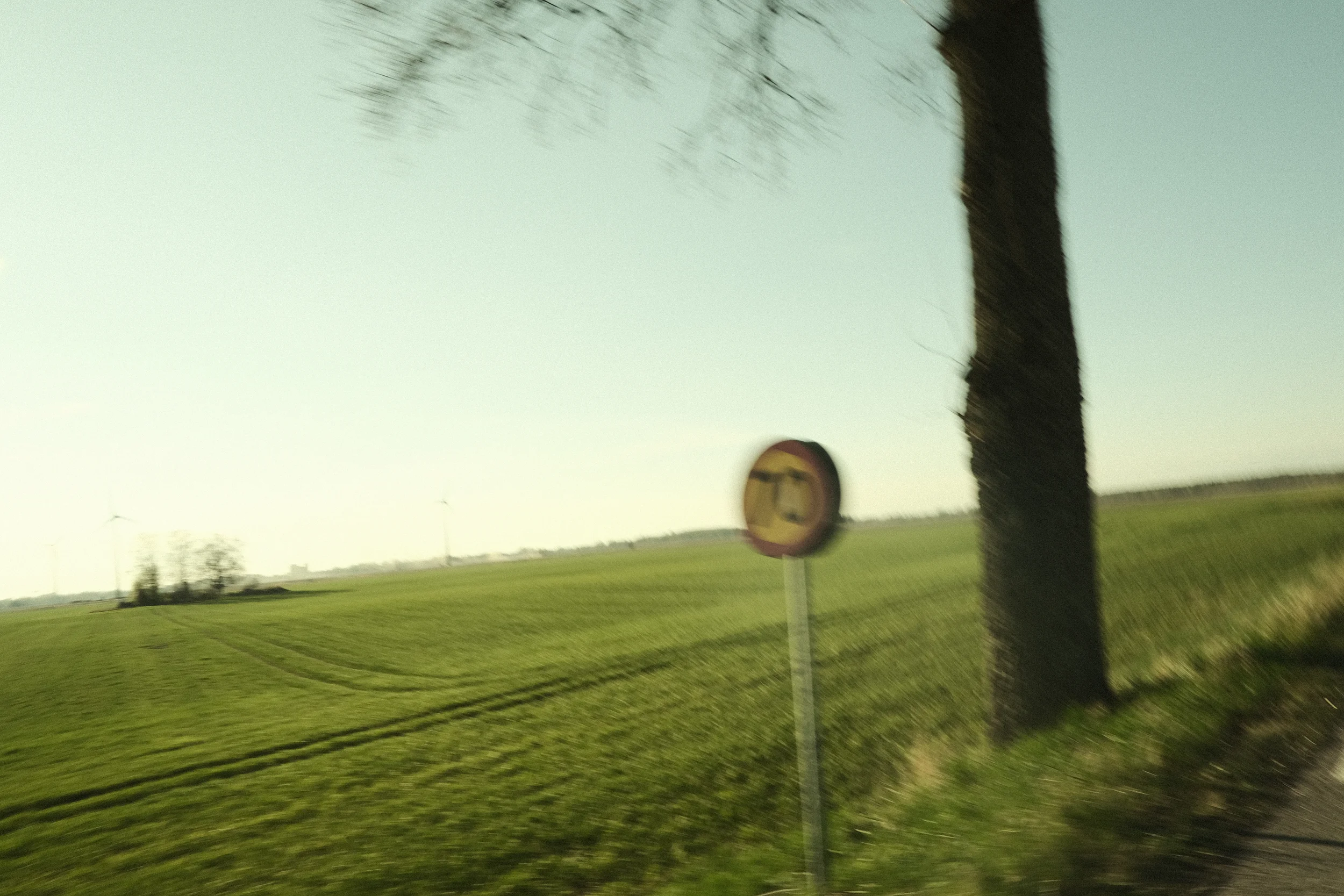 DSCF7599.webp