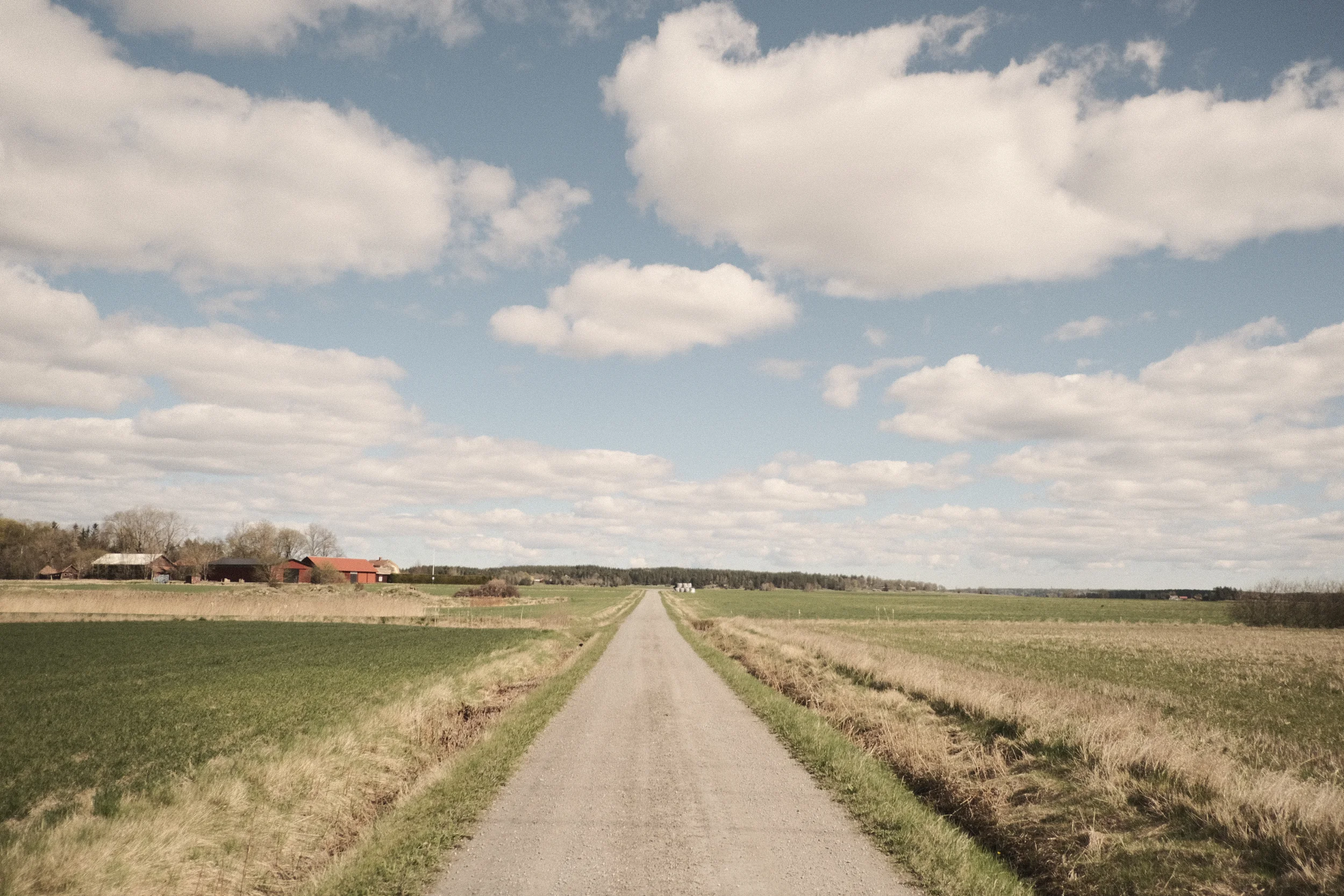 DSCF7744.webp