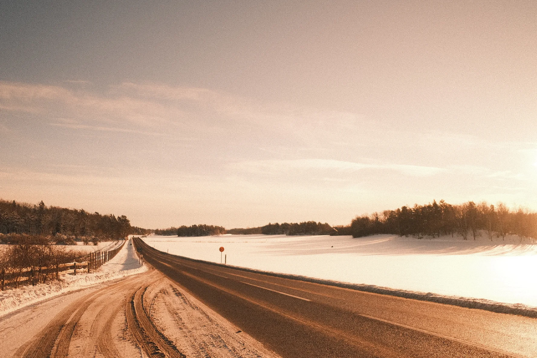 DSCF8777.webp