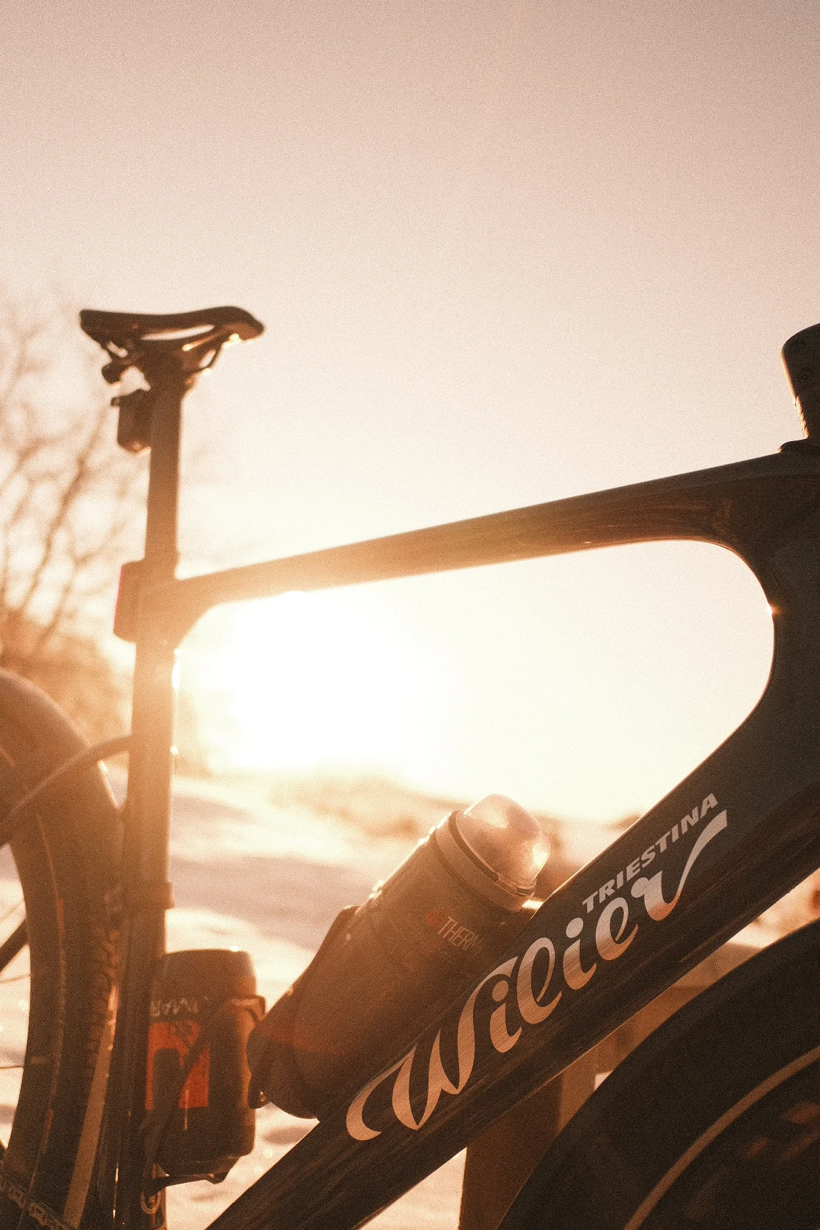 DSCF8851.webp