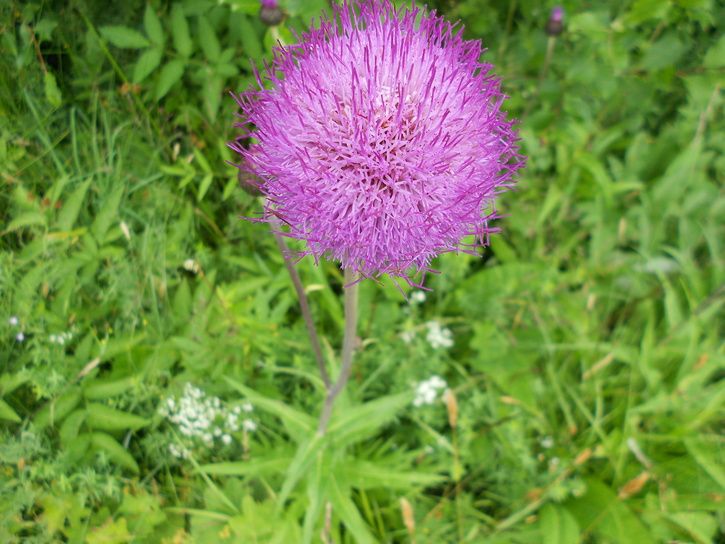 DSCN0168.JPG