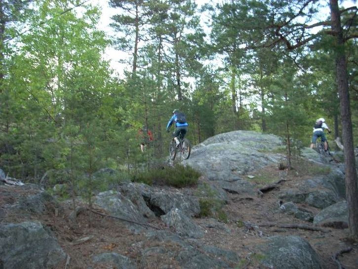 DSCN0351-800.jpg ht=544