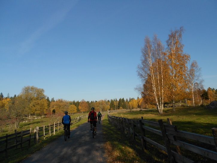 DSCN0472.jpg