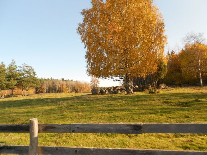 DSCN0474.jpg