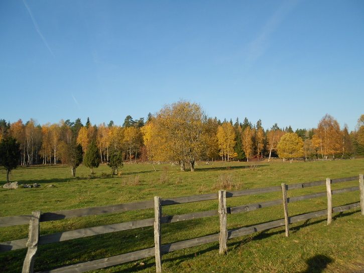 DSCN0475.jpg