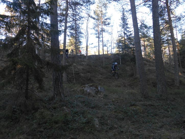 DSCN0585.JPG