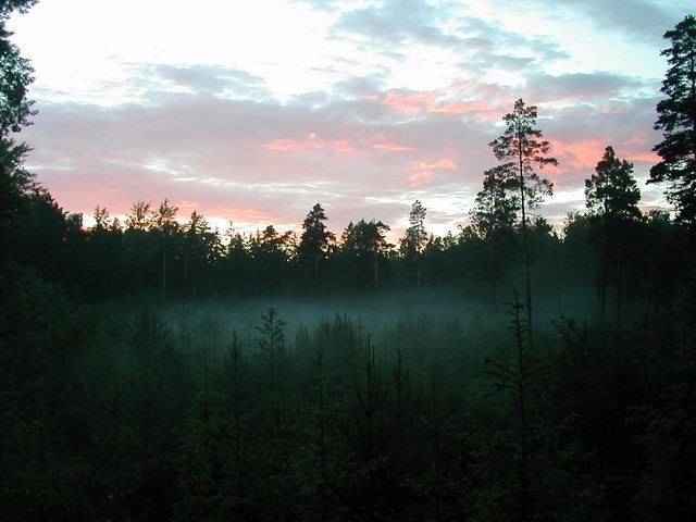 DSCN0648.JPG ht=480