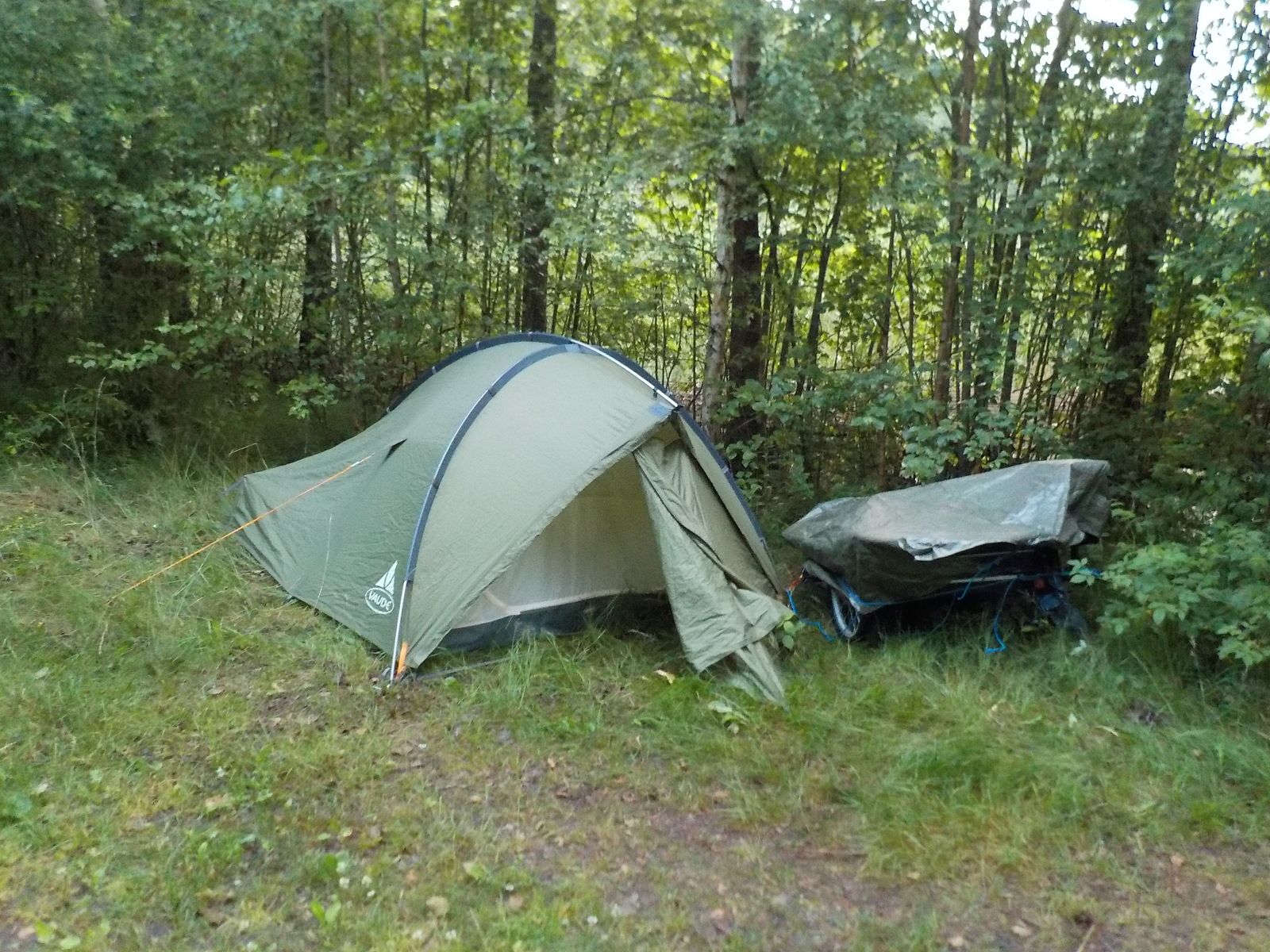 DSCN0725.JPG