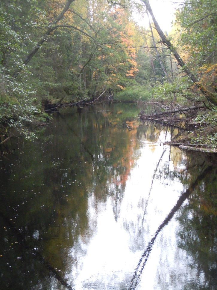 DSCN0795.JPG