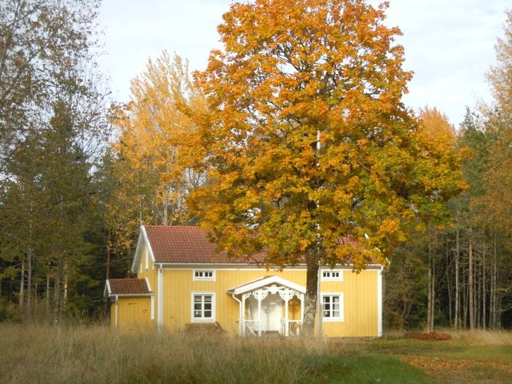 DSCN0836.JPG