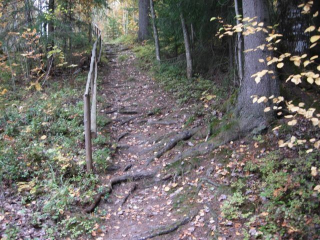 DSCN0968.JPG ht=480