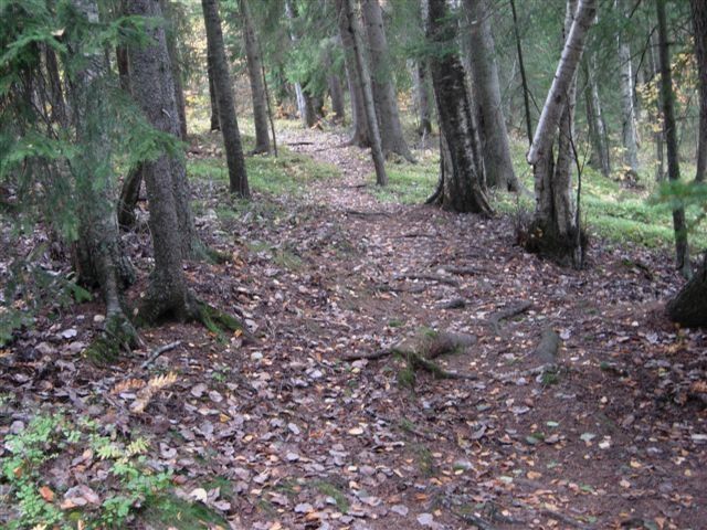 DSCN0970.JPG ht=480