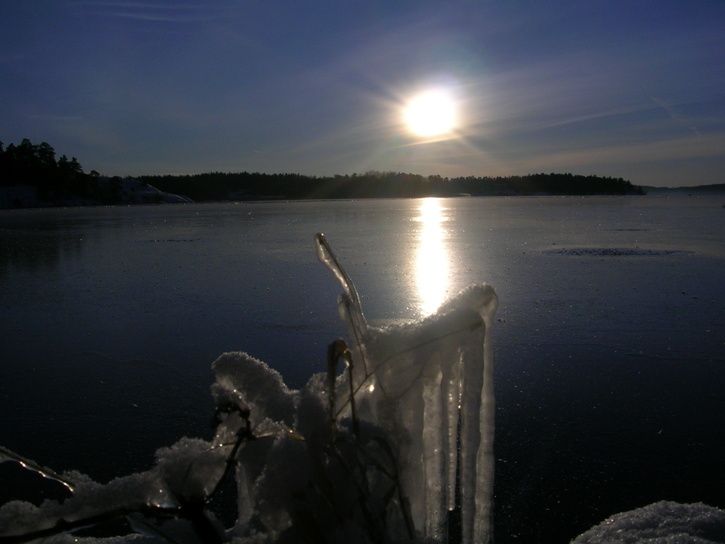 DSCN1260.JPG ht=544