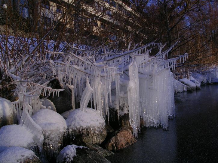 DSCN1265.JPG ht=544