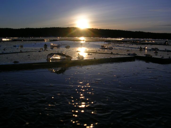 DSCN1271.JPG ht=544