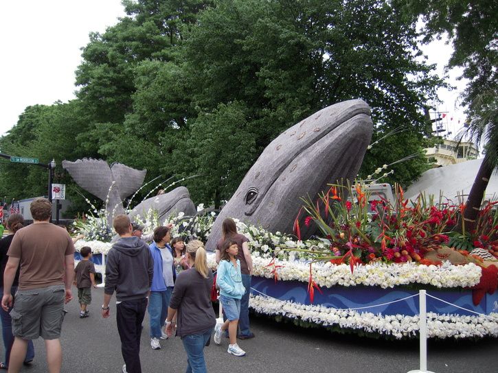 DSCN1479.JPG