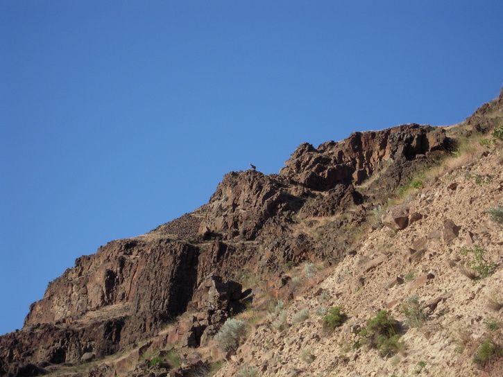 DSCN1800.JPG
