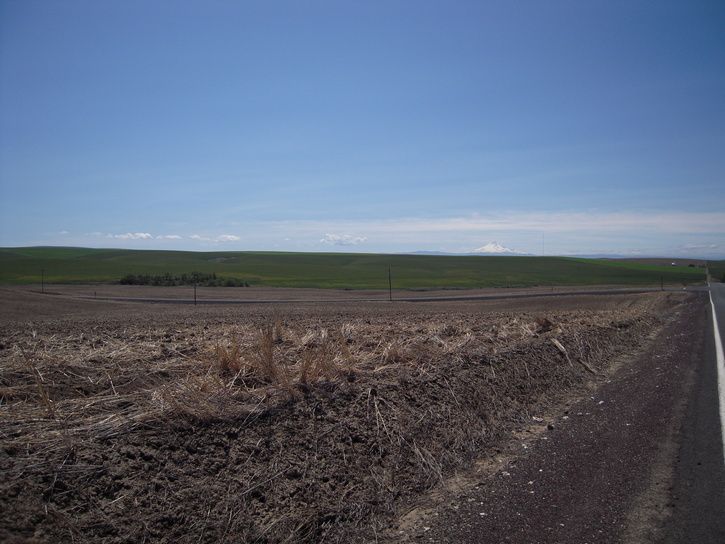 DSCN1871.JPG