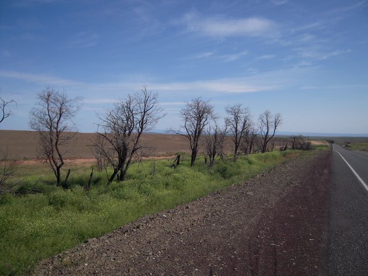 DSCN1904.JPG