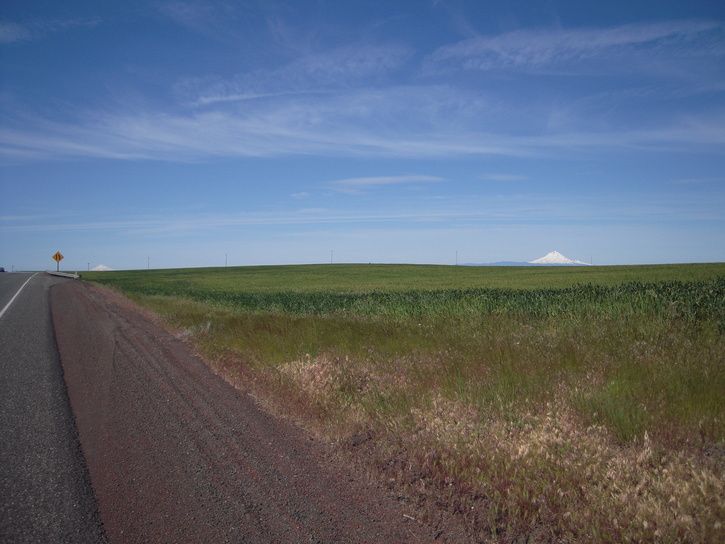 DSCN1910.JPG