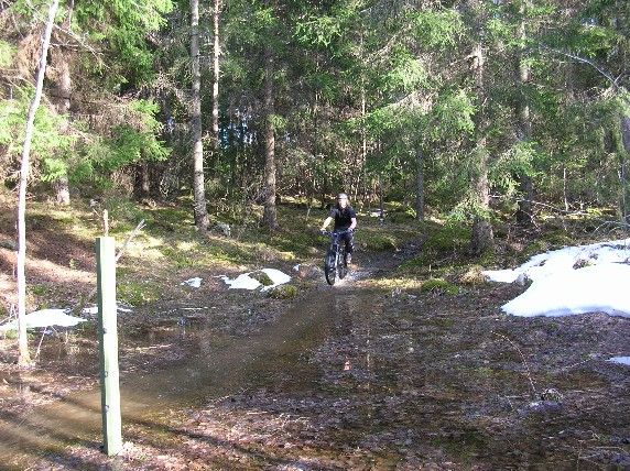DSCN1930liten.JPG