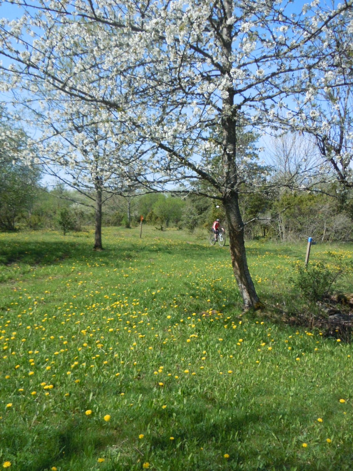 DSCN2110.JPG