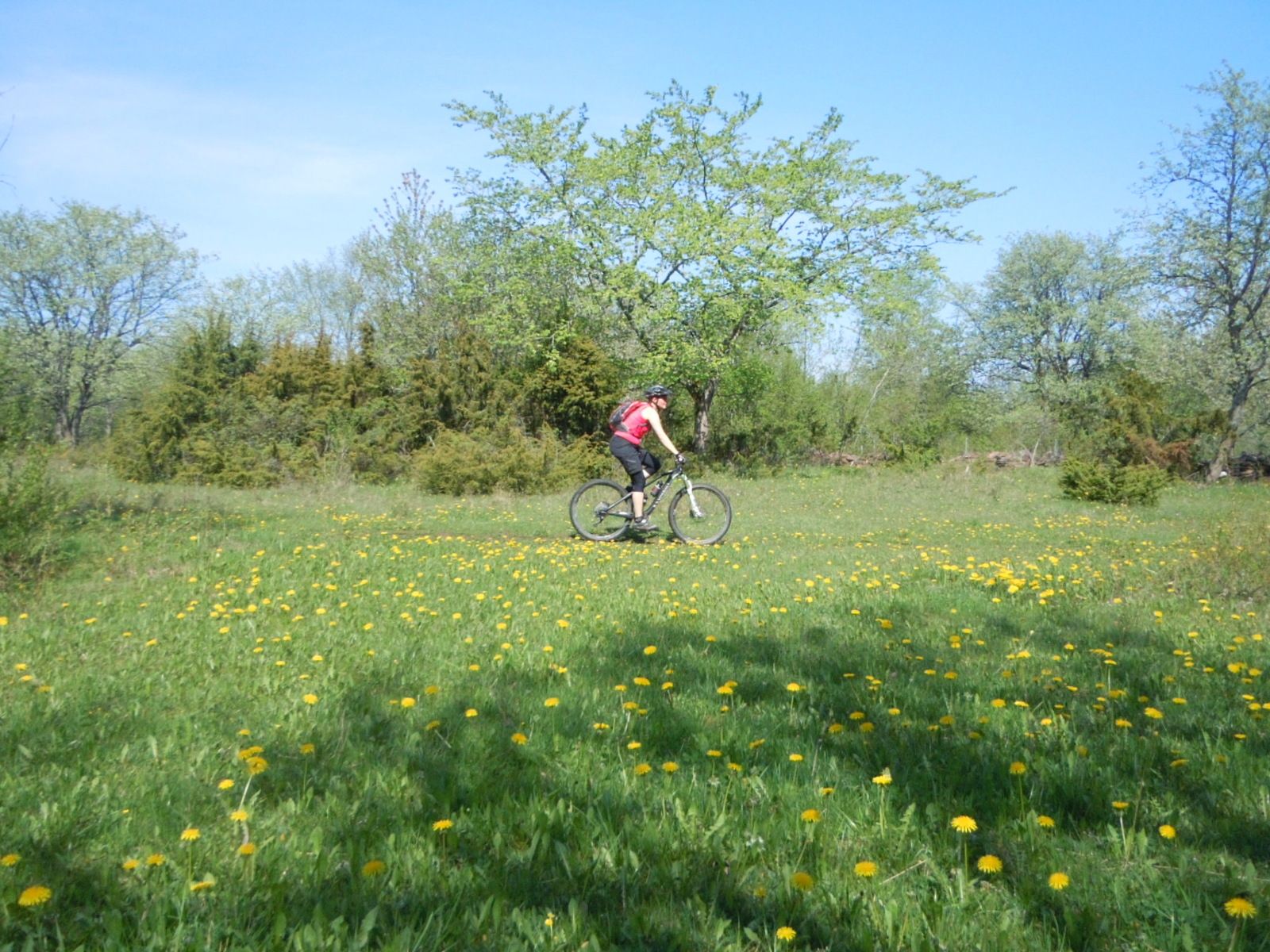 DSCN2115.JPG