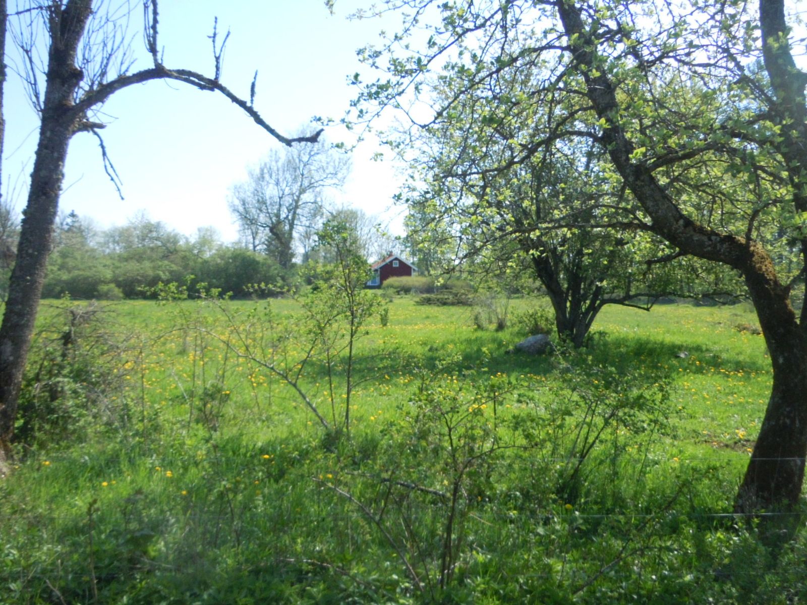 DSCN2116.JPG