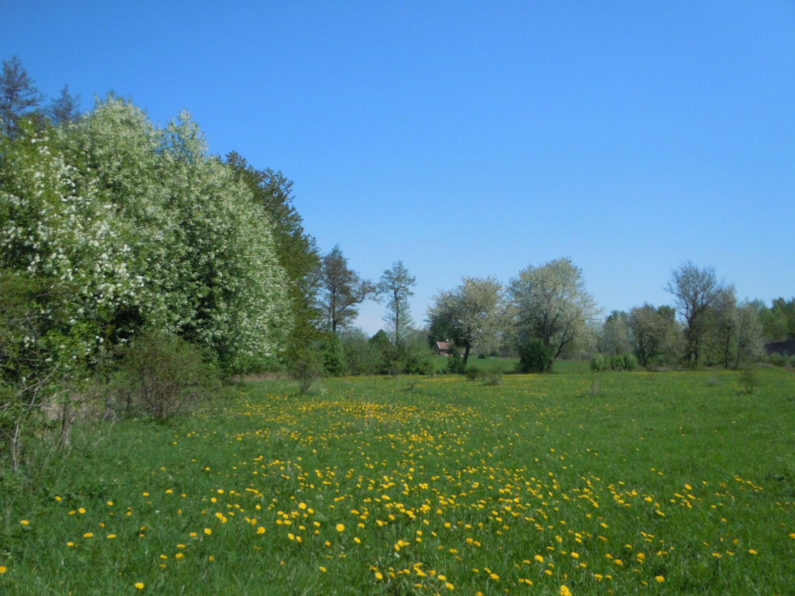DSCN2163.JPG