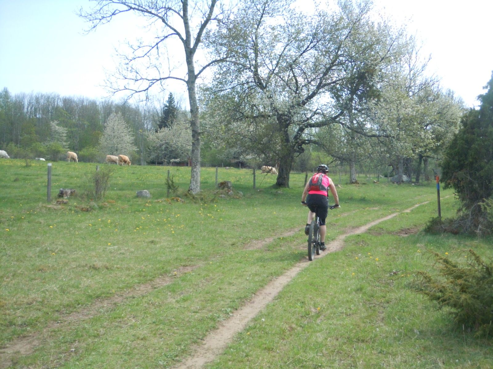 DSCN2224.JPG